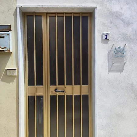 Lotus Bed & Breakfast 4*