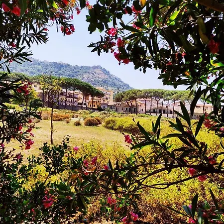 Lotus Bed & Breakfast Castellabate