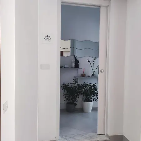 Lotus קסטלבאטה