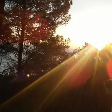 Lotus 4* Castellabate