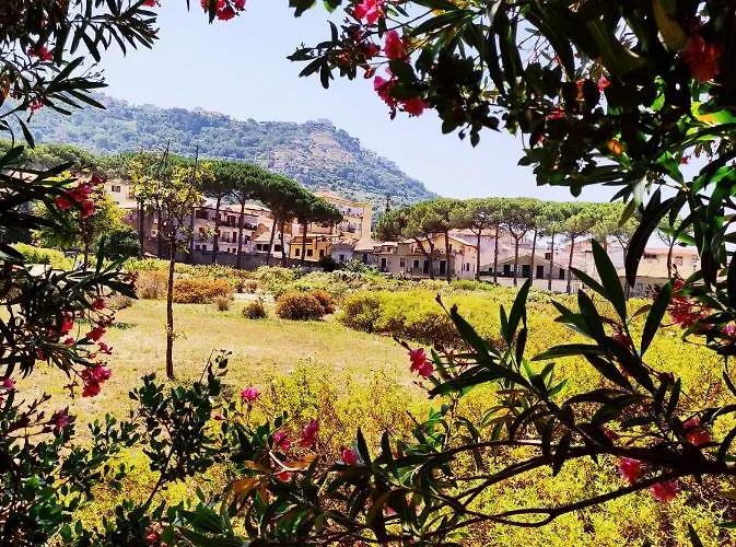 Lotus Bed and Breakfast Castellabate